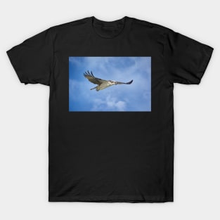 Osprey on the Hunt T-Shirt